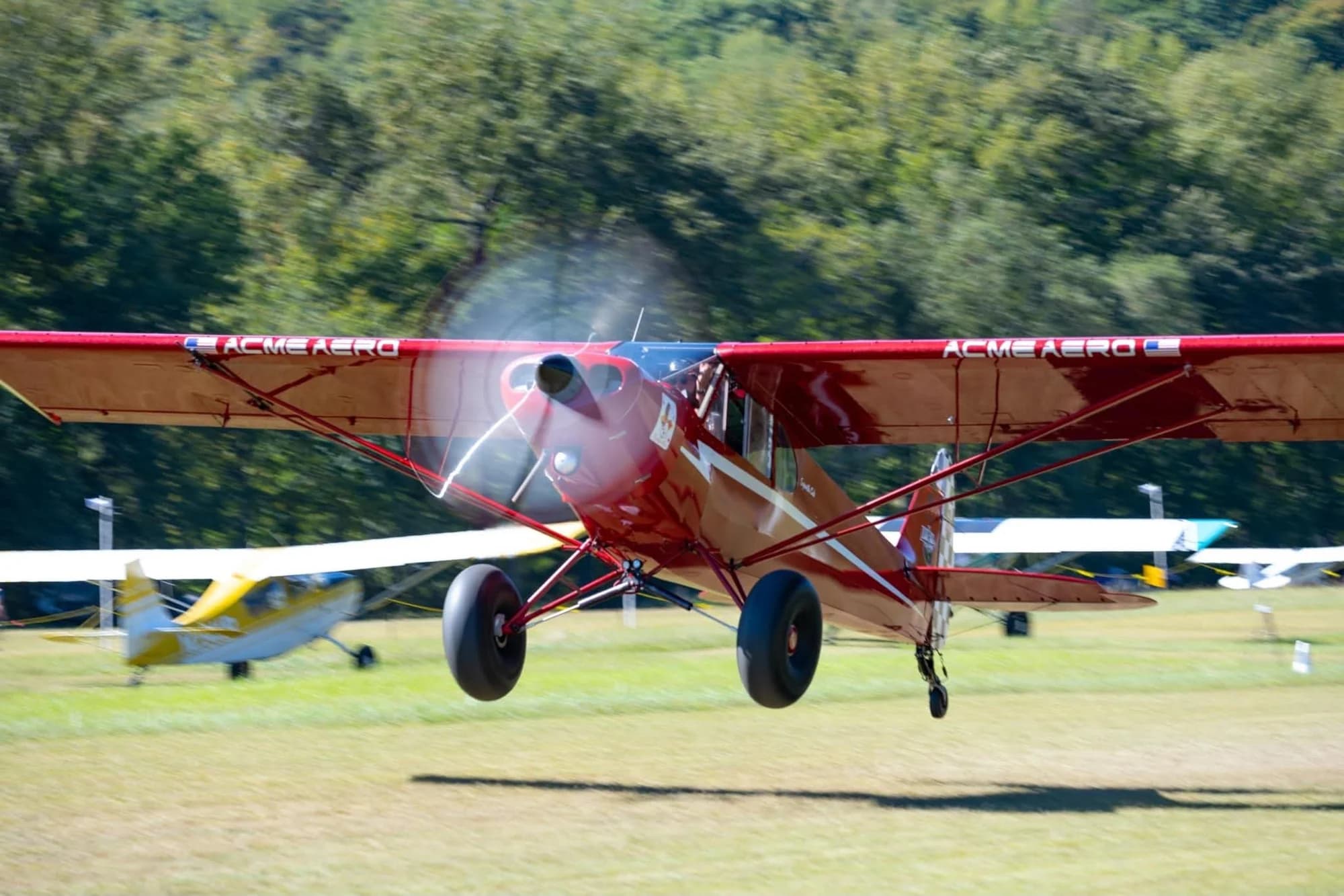 A red bush plane lifting off a grass airstrip