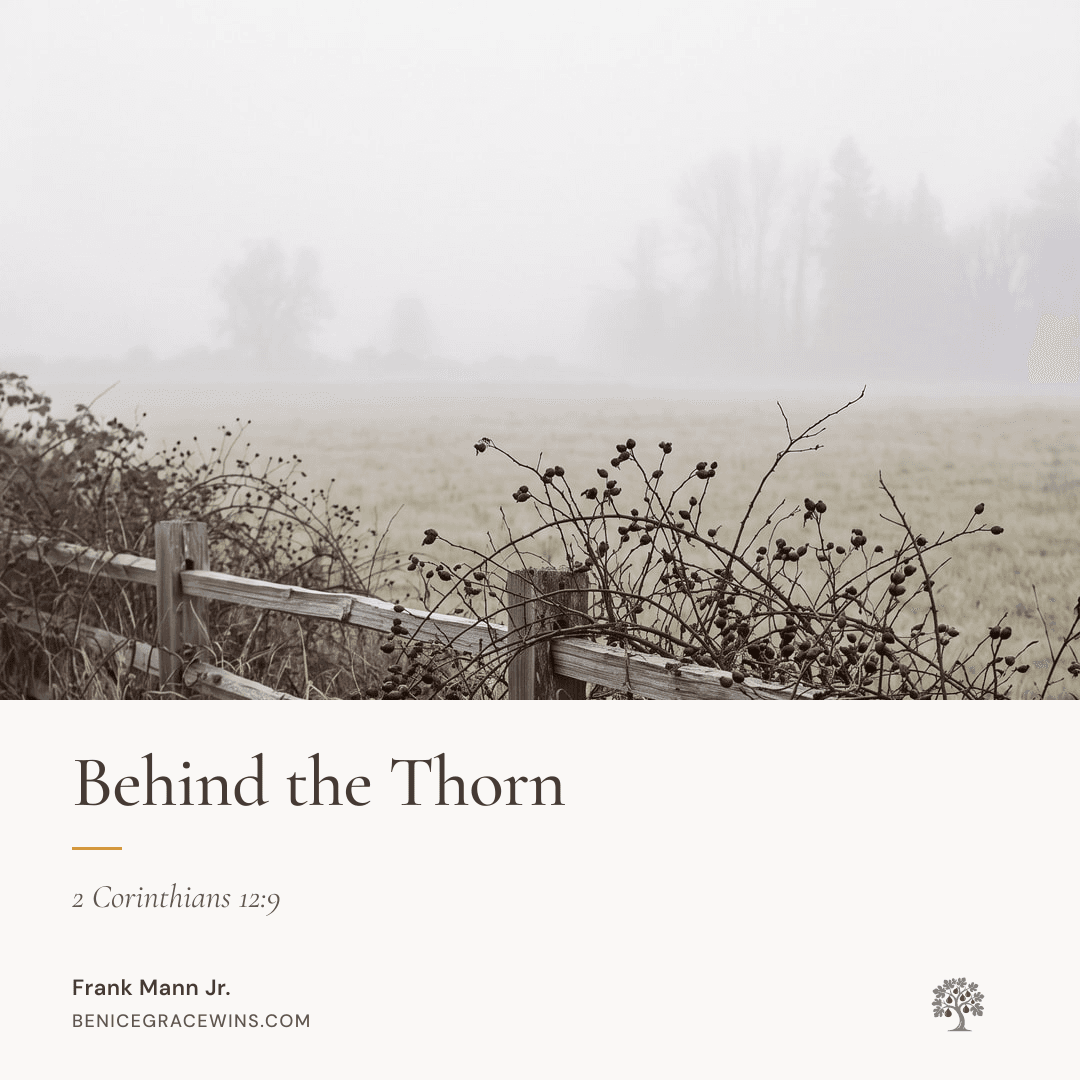 Share image for "Behind the Thorn"