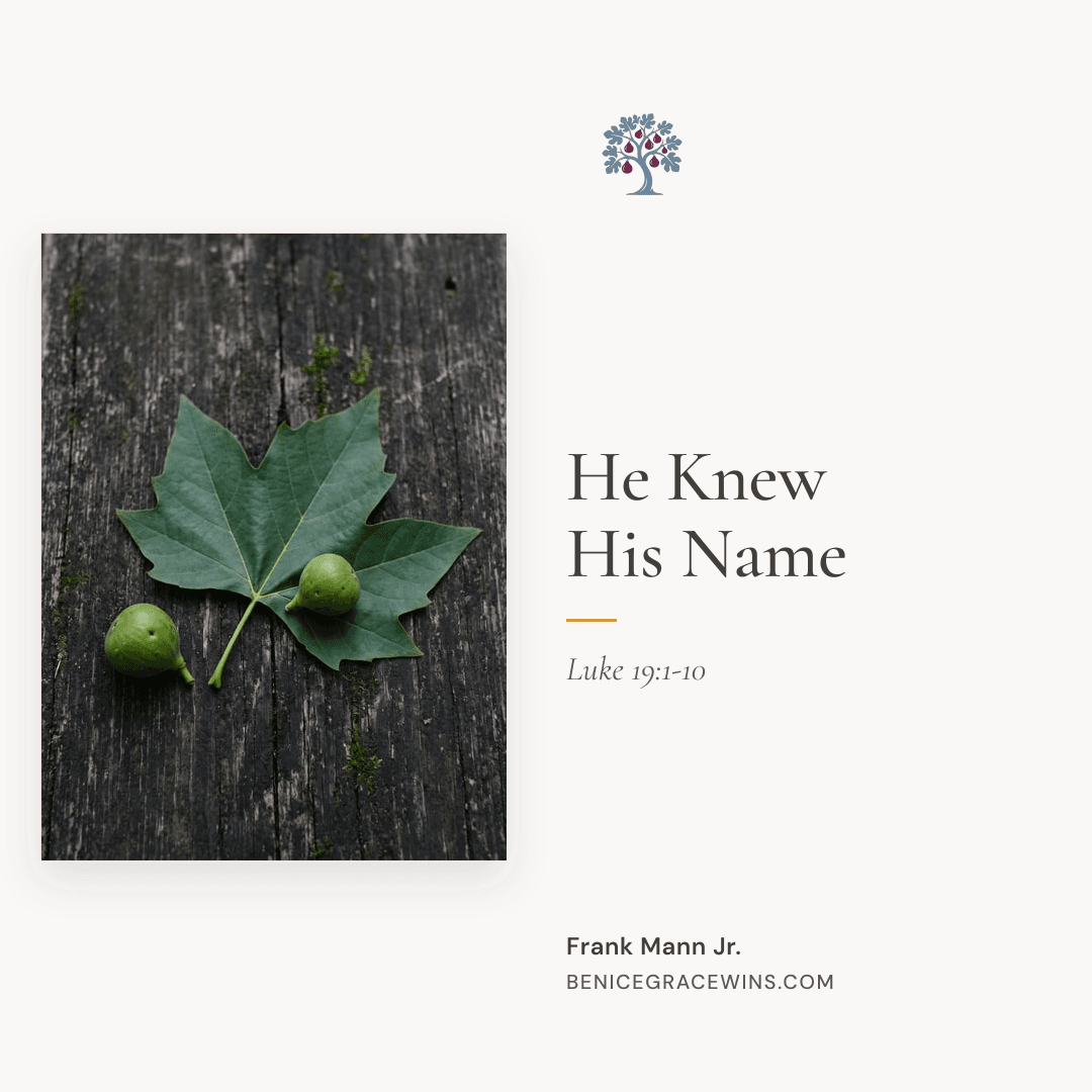 Share image for "He Knew His Name"