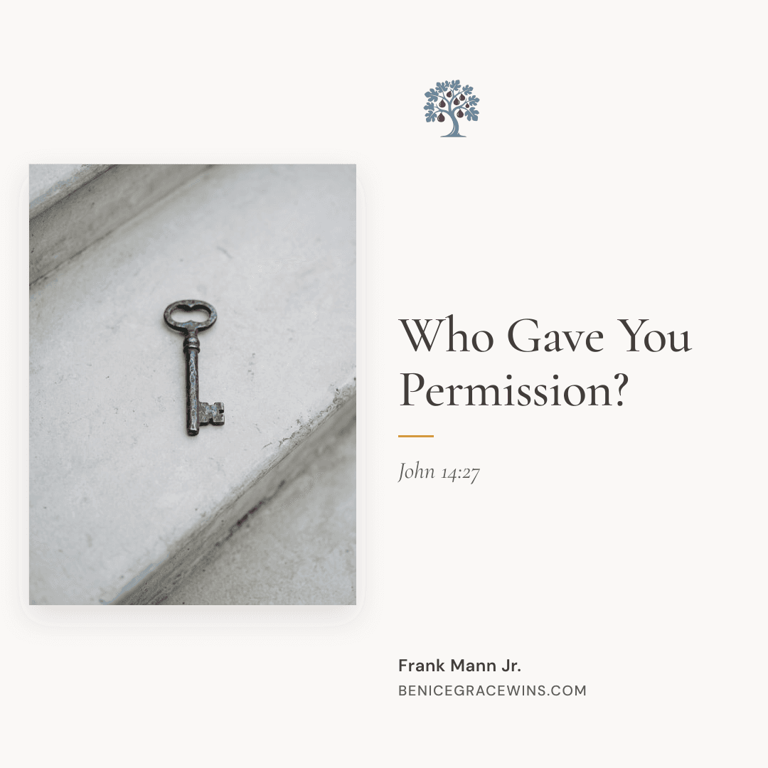 Share image for "Who Gave You Permission?"