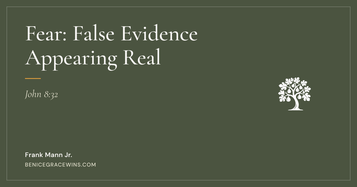 Fear: False Evidence Appearing Real | Be Nice Grace Wins